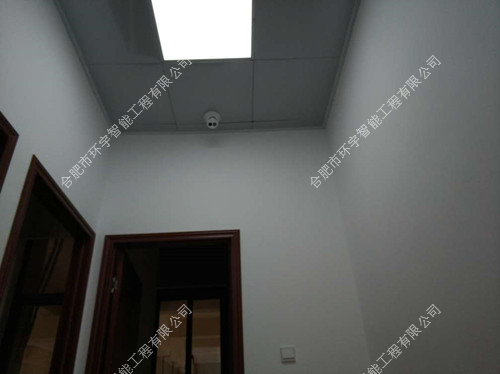 1733207473627231.png 圖片 3.png